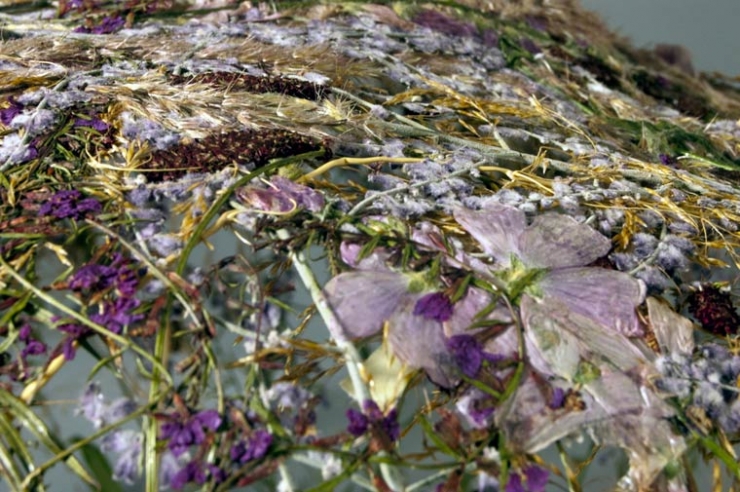 Illustration de l'article : Cet homme fait s&eacute;cher des fleurs et ce qu'il en fait est superbe