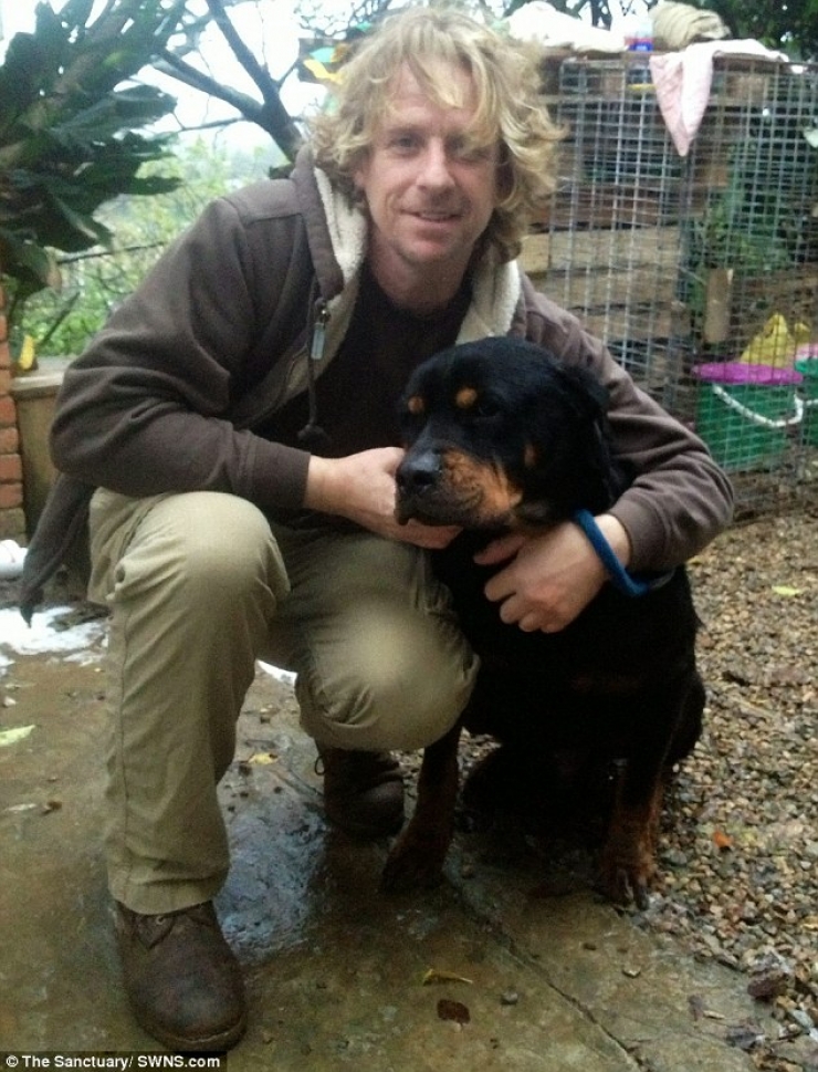 Illustration de l'article : Ce pauvre chien abandonn&eacute; dans la rue a eu droit &agrave; un v&eacute;ritable miracle ! Et &ccedil;a fait plaisir &agrave; voir...