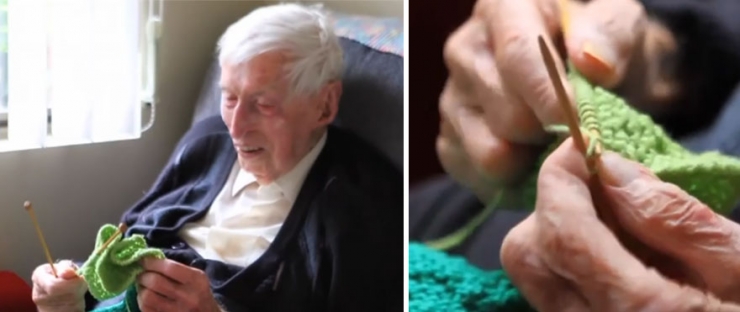 Illustration de l'article : A 109 ans, il tricote des pulls en laine pour les pingouins menacés de disparition