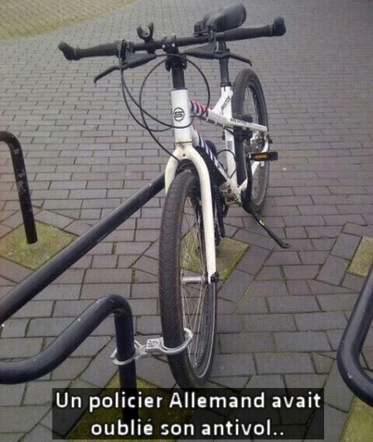 Illustration de l'article : 14 g&eacute;nies du syst&egrave;me D qui ne sont jamais &agrave; court de solutions