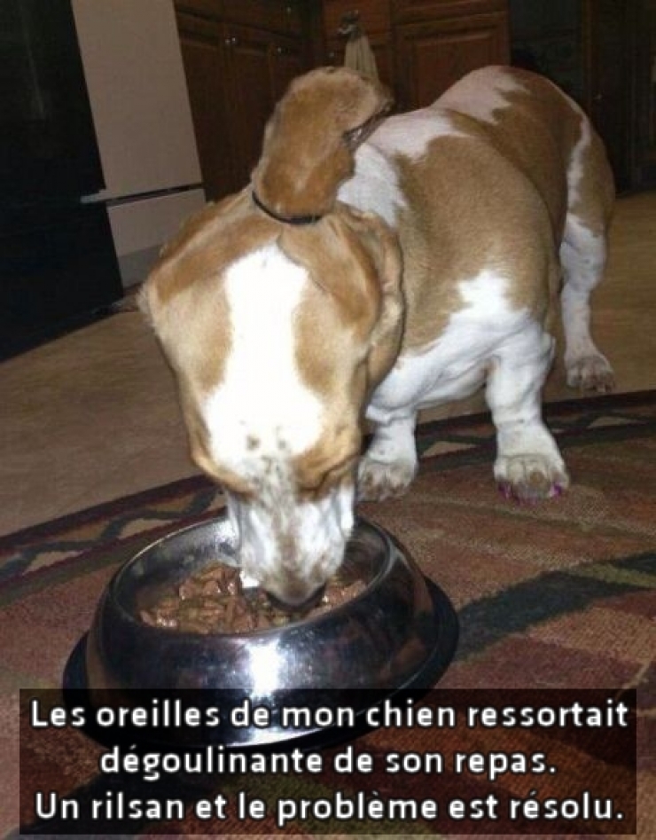 Illustration de l'article : 14 g&eacute;nies du syst&egrave;me D qui ne sont jamais &agrave; court de solutions