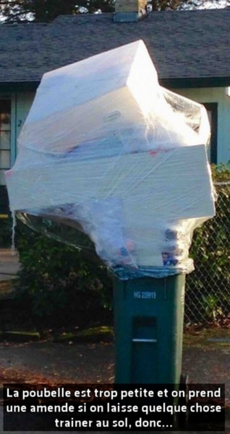 Illustration de l'article : 14 g&eacute;nies du syst&egrave;me D qui ne sont jamais &agrave; court de solutions