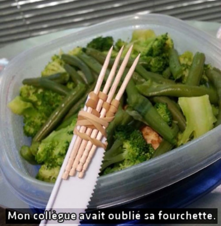 Illustration de l'article : 14 g&eacute;nies du syst&egrave;me D qui ne sont jamais &agrave; court de solutions