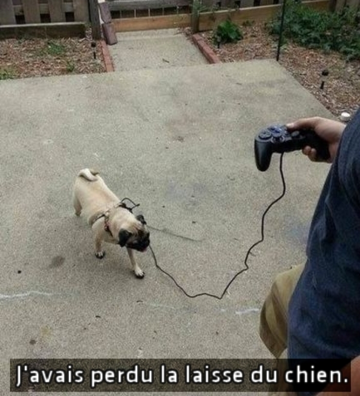 Illustration de l'article : 14 g&eacute;nies du syst&egrave;me D qui ne sont jamais &agrave; court de solutions