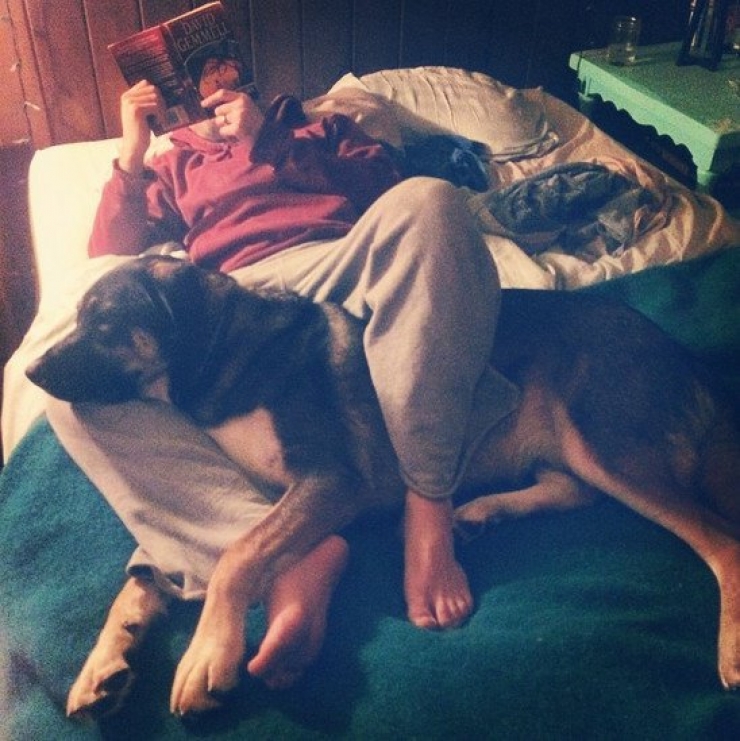 Illustration de l'article : Il faut se rendre à l'évidence : votre lit ne vous appartient plus. Il est à eux désormais (21 photos)