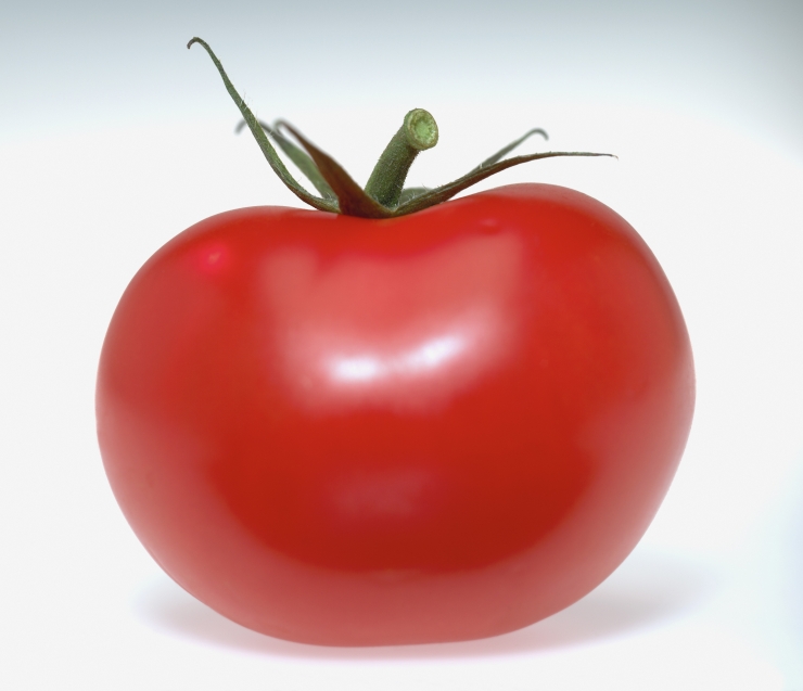 Illustration de l'article : La VRAI recette du Cheese Burger &agrave; l'Am&eacute;ricaine