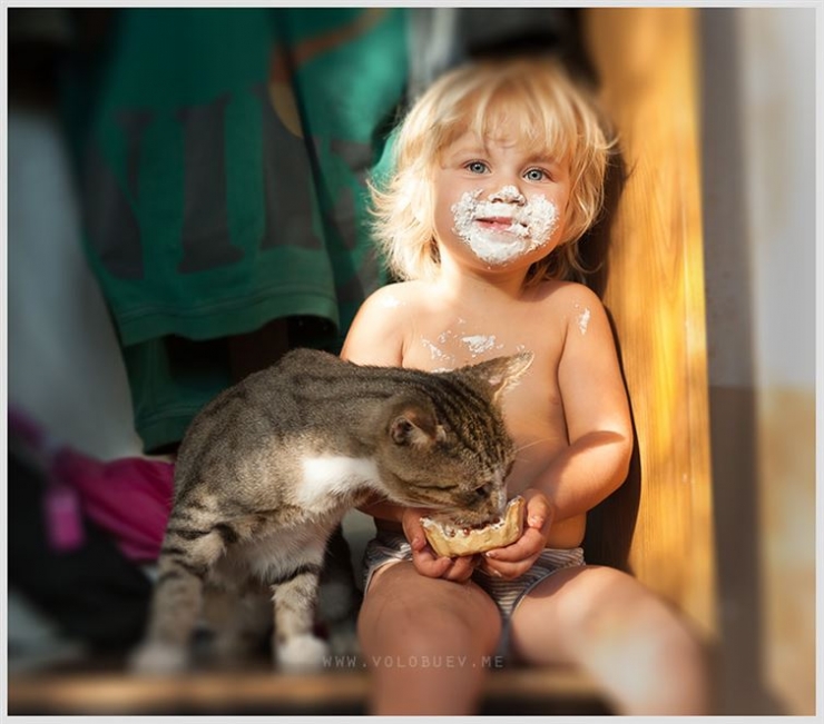 Illustration de l'article : Chats et b&eacute;b&eacute;s complices : 19 merveilleuses photos pour faire le plein de bonne humeur