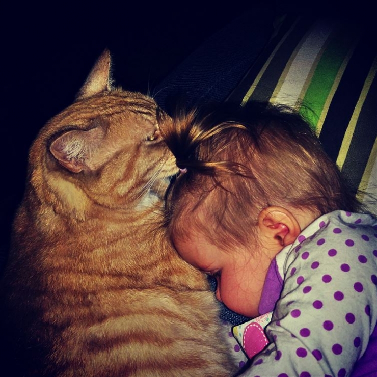 Illustration de l'article : Chats et b&eacute;b&eacute;s complices : 19 merveilleuses photos pour faire le plein de bonne humeur