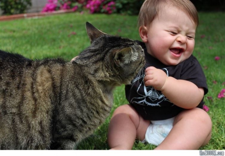 Chats et bébés complices 19 merveilleuses photos pour faire le plein de bonne humeur