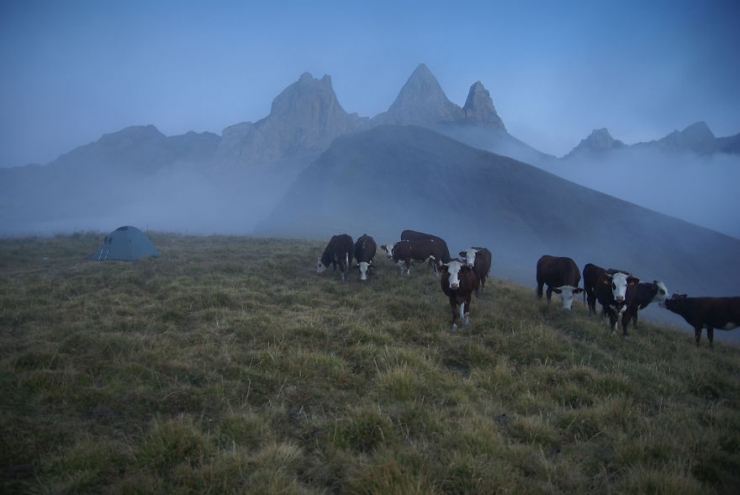 Illustration de l'article : Il a planté sa tente sur les plus hautes montagnes d'Europe. Découvrez 30 de ses plus belles photos