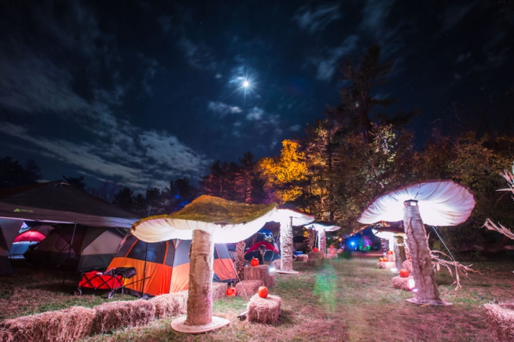 Illustration de l'article : Elle cr&eacute;e des champignons g&eacute;ants &agrave; &eacute;clairage LED pour d&eacute;corer toutes sortes d'&eacute;v&egrave;nements