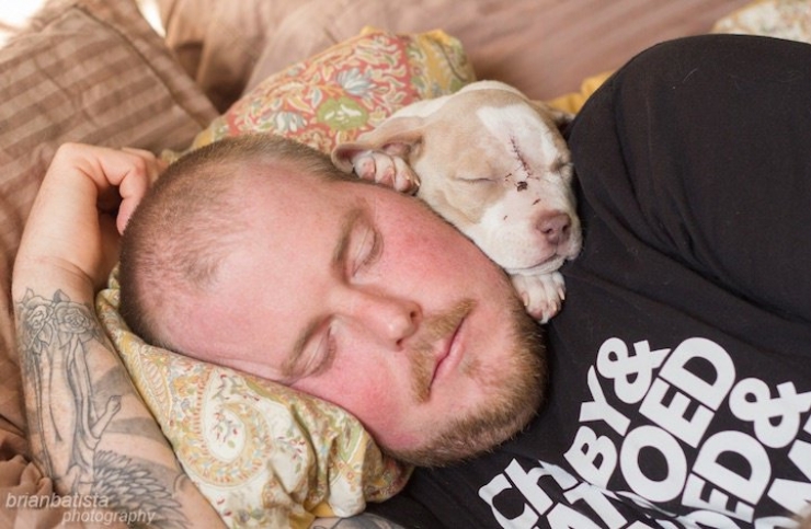 Illustration de l'article : Magnifiques portraits d'homme tatou&eacute;s avec les chiens qu'ils ont sorti de la rue