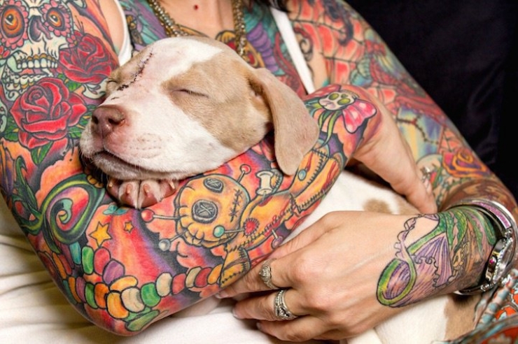 Illustration de l'article : Magnifiques portraits d'homme tatou&eacute;s avec les chiens qu'ils ont sorti de la rue
