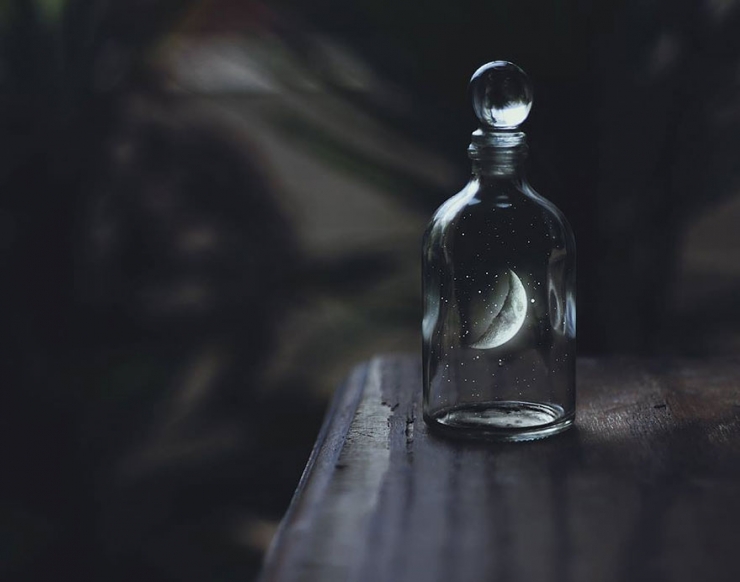 Illustration de l'article : Le monde f&eacute;&eacute;rique d'Om&eacute;rika en 12 photos