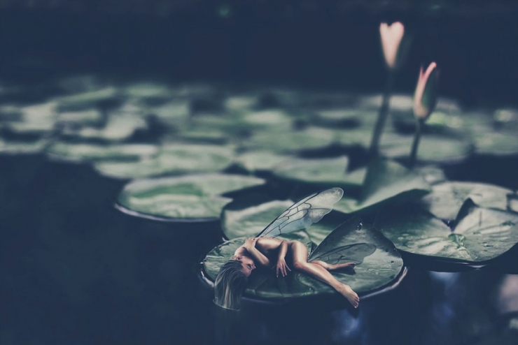 Illustration de l'article : Le monde f&eacute;&eacute;rique d'Om&eacute;rika en 12 photos