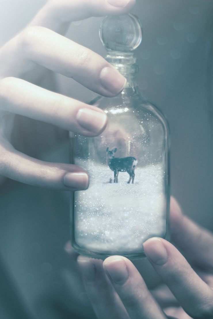 Illustration de l'article : Le monde f&eacute;&eacute;rique d'Om&eacute;rika en 12 photos