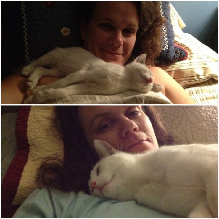 Illustration de l'article : Ces chats recréent leurs photos d'enfance pour nous faire craquer