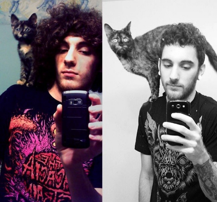 Illustration de l'article : Ces chats recréent leurs photos d'enfance pour nous faire craquer