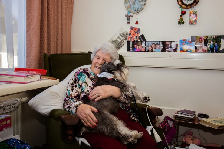 Illustration de l'article : Ce photographe rend hommage aux chiens qui travaillent à travers une série de magnifiques clichés (15 photos)