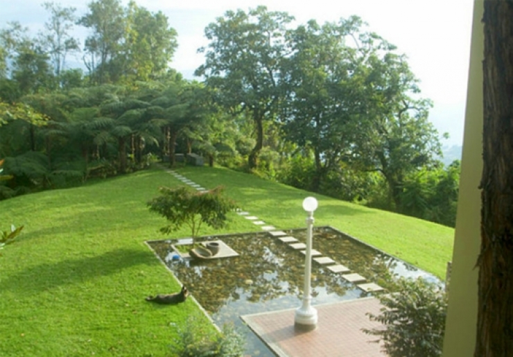 Illustration de l'article : Trouvez votre inspiration &agrave; travers ces 87 id&eacute;es de bassins magnifiques pour Jardins !