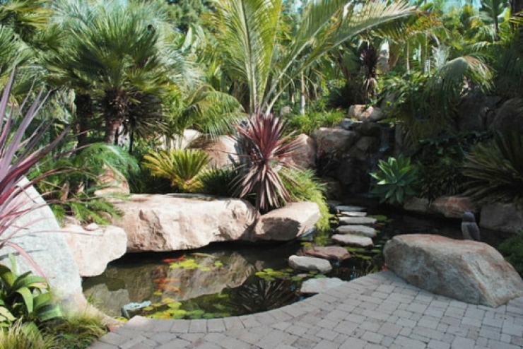 Illustration de l'article : Trouvez votre inspiration &agrave; travers ces 87 id&eacute;es de bassins magnifiques pour Jardins !