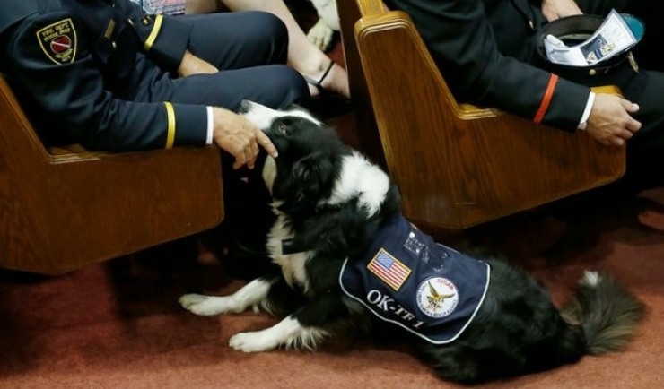 Illustration de l'article : Ces funérailles sont des plus touchantes! Non ce n'est pas pour un policier, mais pour un chien!