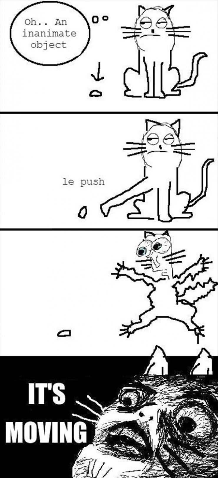 Illustration de l'article : Dans la série "Un jour les chats domineront le monde" : 14 images qui montrent qu'ils ont une logique bien à eux