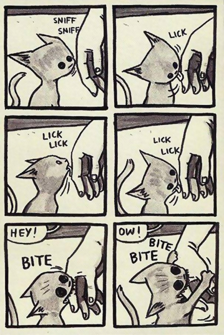 Illustration de l'article : Dans la série "Un jour les chats domineront le monde" : 14 images qui montrent qu'ils ont une logique bien à eux