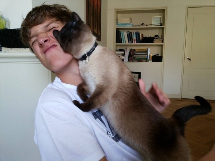 Illustration de l'article : 24 animaux qui souhaiteraient qu'on ne s'occupe que d'eux !