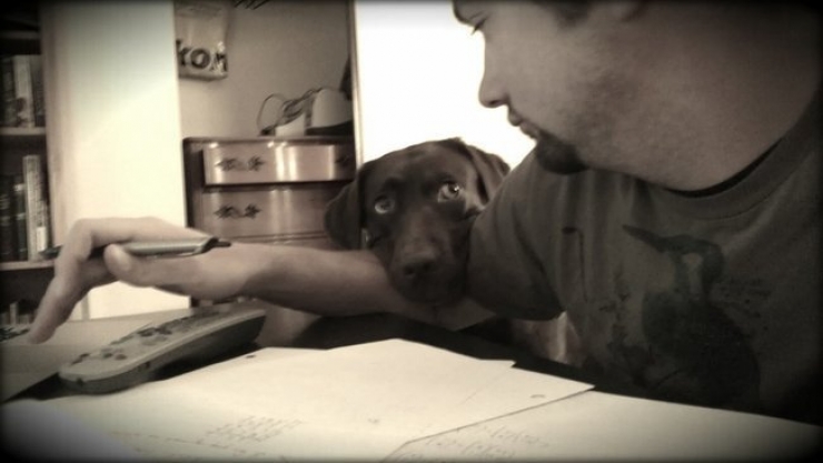 Illustration de l'article : 24 animaux qui souhaiteraient qu'on ne s'occupe que d'eux !