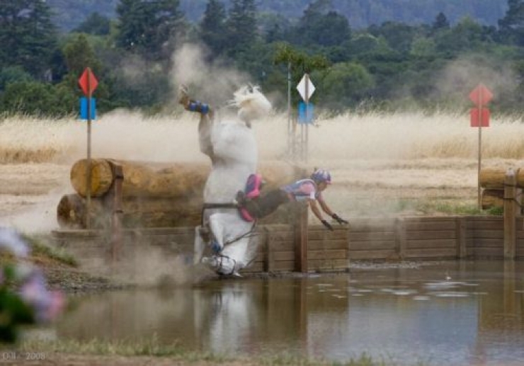 Illustration de l'article : 17 clich&eacute;s r&eacute;alis&eacute;s juste avant le d&eacute;sastre