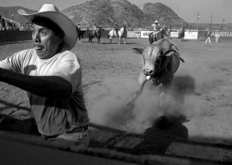 Illustration de l'article : 17 clich&eacute;s r&eacute;alis&eacute;s juste avant le d&eacute;sastre