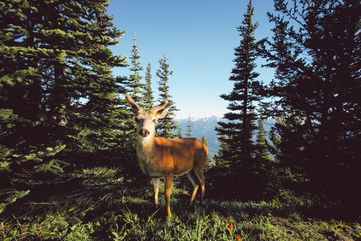 Illustration de l'article : Son boss le vire, sa femme le quitte, mais ce qu'il va faire est exceptionnel !