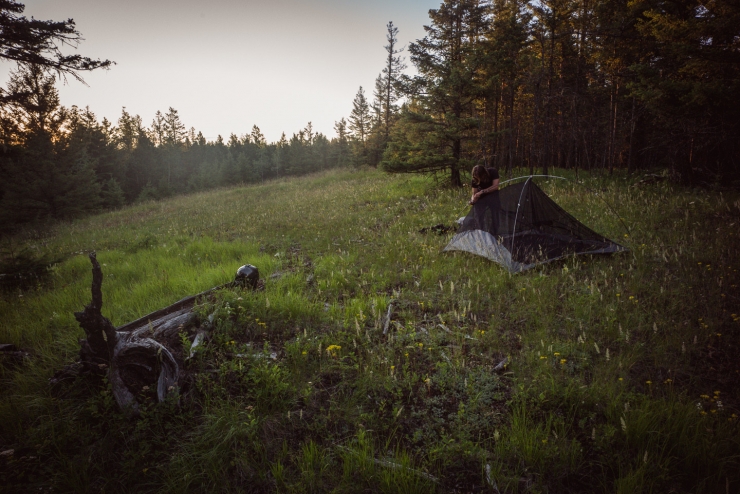Illustration de l'article : Son boss le vire, sa femme le quitte, mais ce qu'il va faire est exceptionnel !