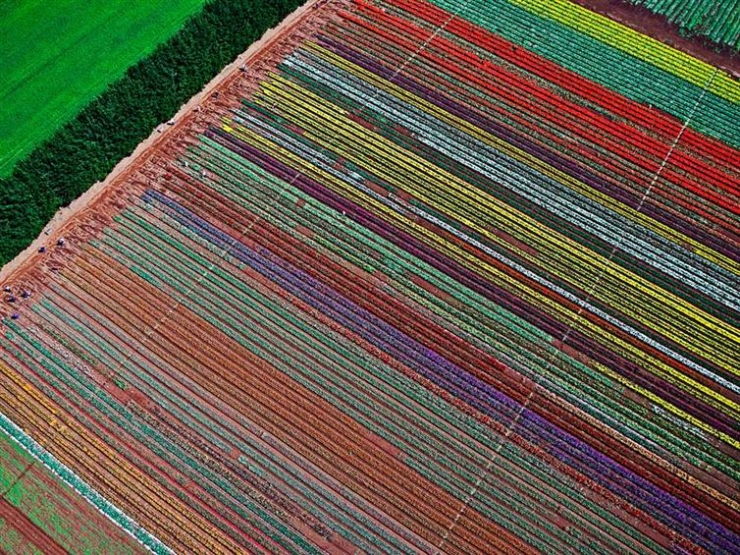 Illustration de l'article : 13 photos d'endroits &agrave; couper le souffle ou vous r&ecirc;veriez d'&ecirc;tre actuellement...