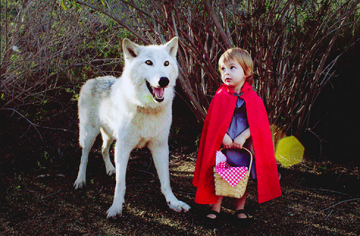 Illustration de l'article : Quand deux petites filles deviennent les personnages de leurs contes de f&eacute;es pr&eacute;f&eacute;r&eacute;s !