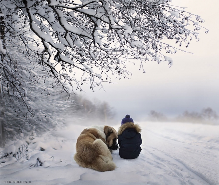 Illustration de l'article : Elle photographie ses enfants et les animaux de sa ferme ; d&eacute;couvrez 23 parmi les plus beaux clich&eacute;s r&eacute;alis&eacute;s par cette maman photographe