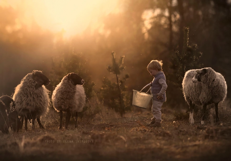 Illustration de l'article : Elle photographie ses enfants et les animaux de sa ferme ; d&eacute;couvrez 23 parmi les plus beaux clich&eacute;s r&eacute;alis&eacute;s par cette maman photographe
