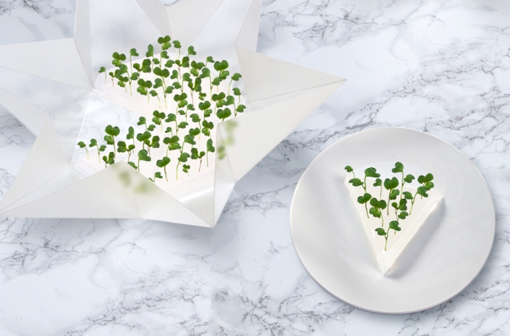 Illustration de l'article : 39 ustensiles de cuisine qui vous faciliteront la vie !