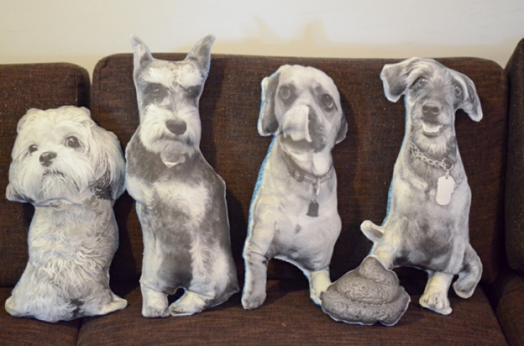 Illustration de l'article : Les 20 oreillers les plus originaux du monde !