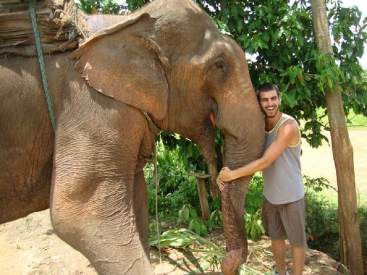 Illustration de l'article : Les c&acirc;lins d'animaux les plus mignons du monde !