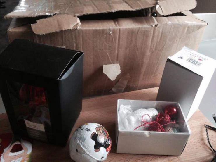 Illustration de l'article : 40 photos qui prouvent qu'un jour, les ninjas-cats nous extermineront !