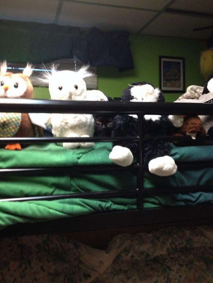 Illustration de l'article : 40 photos qui prouvent qu'un jour, les ninjas-cats nous extermineront !