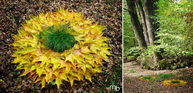Illustration de l'article : Il se sert de ce que lui offre la nature pour cr&eacute;er des oeuvres d'art destin&eacute;es &agrave; y retourner (13 photos)