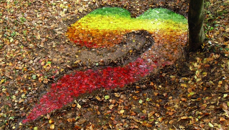 Illustration de l'article : Il se sert de ce que lui offre la nature pour cr&eacute;er des oeuvres d'art destin&eacute;es &agrave; y retourner (13 photos)