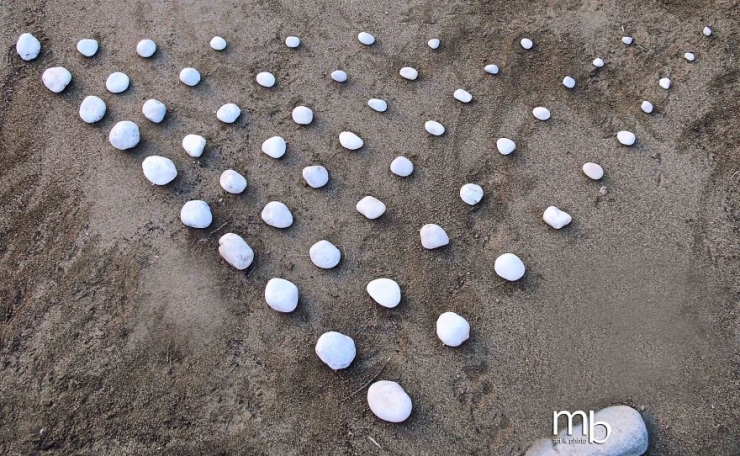 Illustration de l'article : Il se sert de ce que lui offre la nature pour cr&eacute;er des oeuvres d'art destin&eacute;es &agrave; y retourner (13 photos)