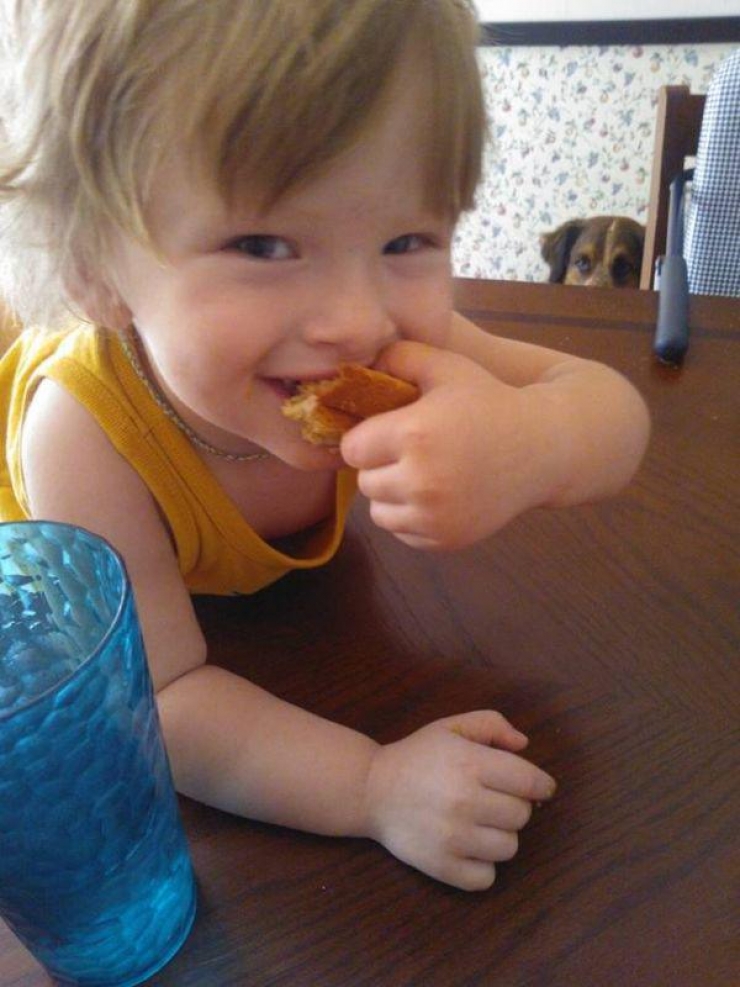 Illustration de l'article : 25 animaux qui organisent un complot plan&eacute;taire !