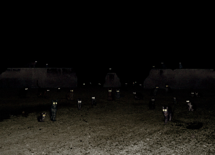 Illustration de l'article : 25 animaux qui organisent un complot plan&eacute;taire !