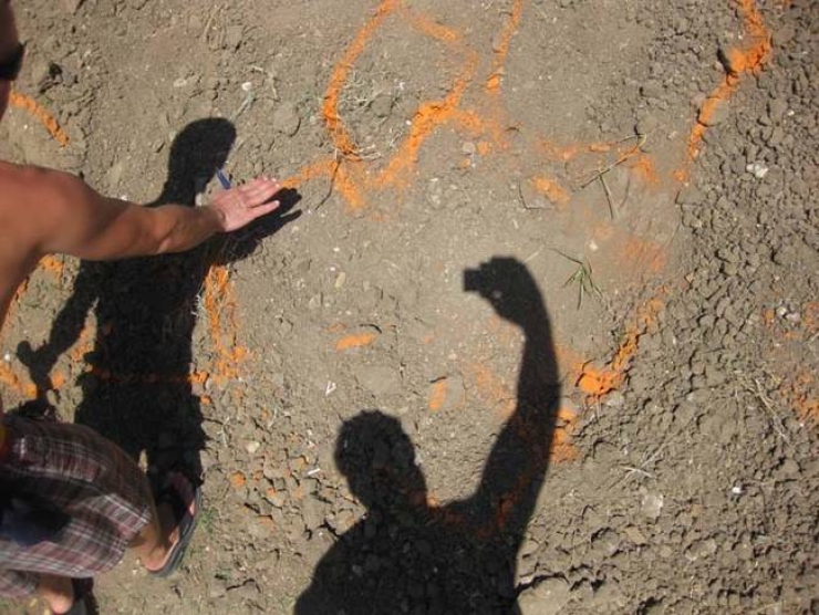 Illustration de l'article : Cet homme se lance dans un projet incroyable pour faire le deuil de son meilleur ami...Son chien!