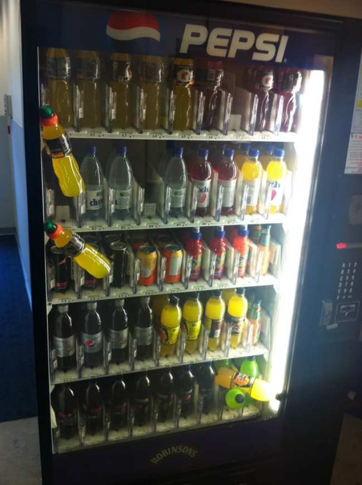 Illustration de l'article : 28 personnes qui passent certainement une plus mauvaise journée que vous!